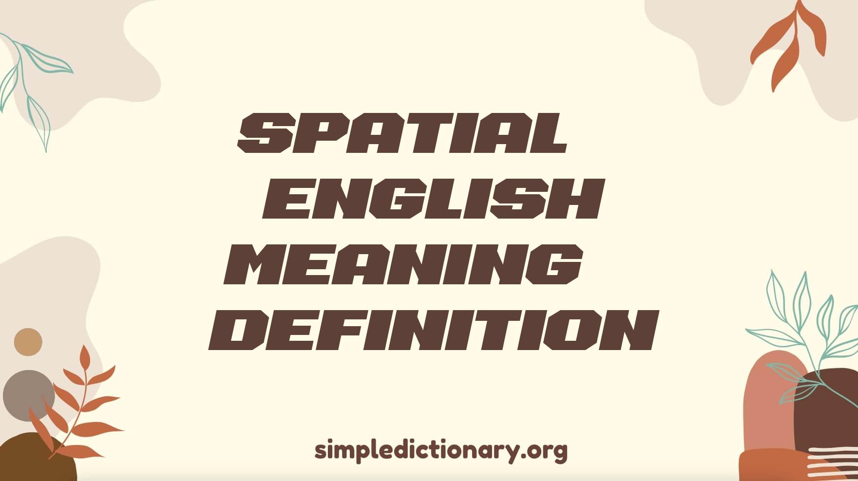 Spatial | English Meaning & Definition